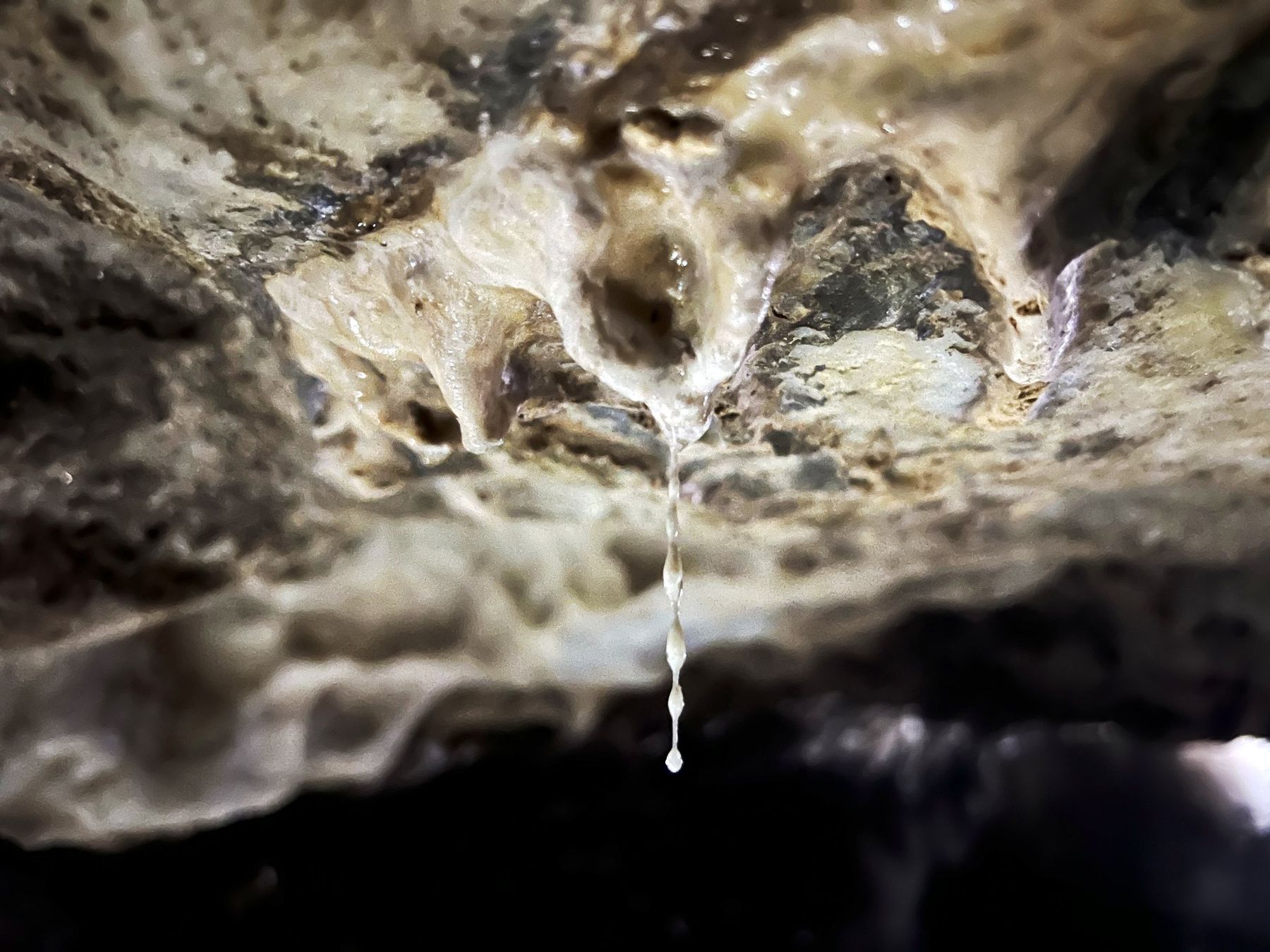 Gosthani Caving Experience — photo 9