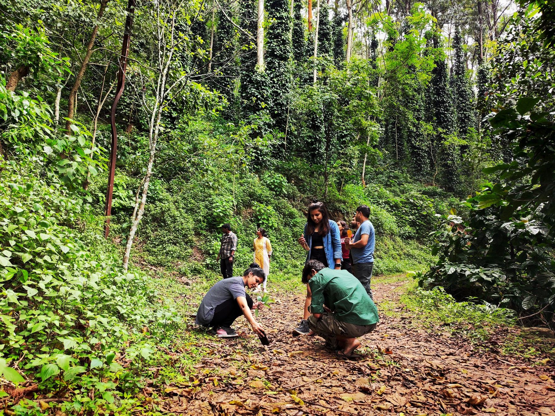 Jindhagada Trek — photo 2