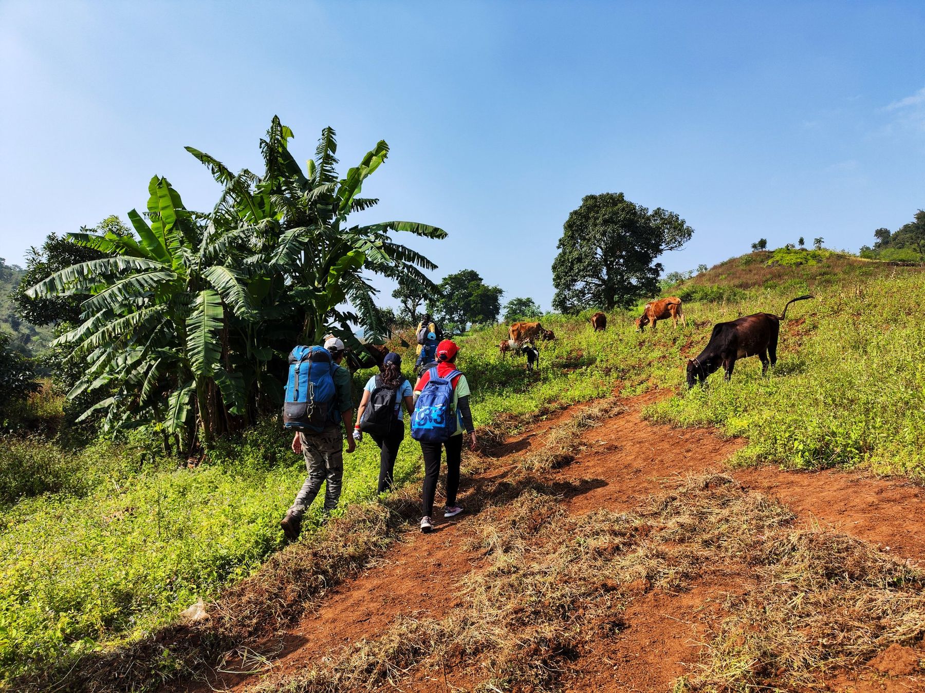 Jindhagada Trek — photo 3