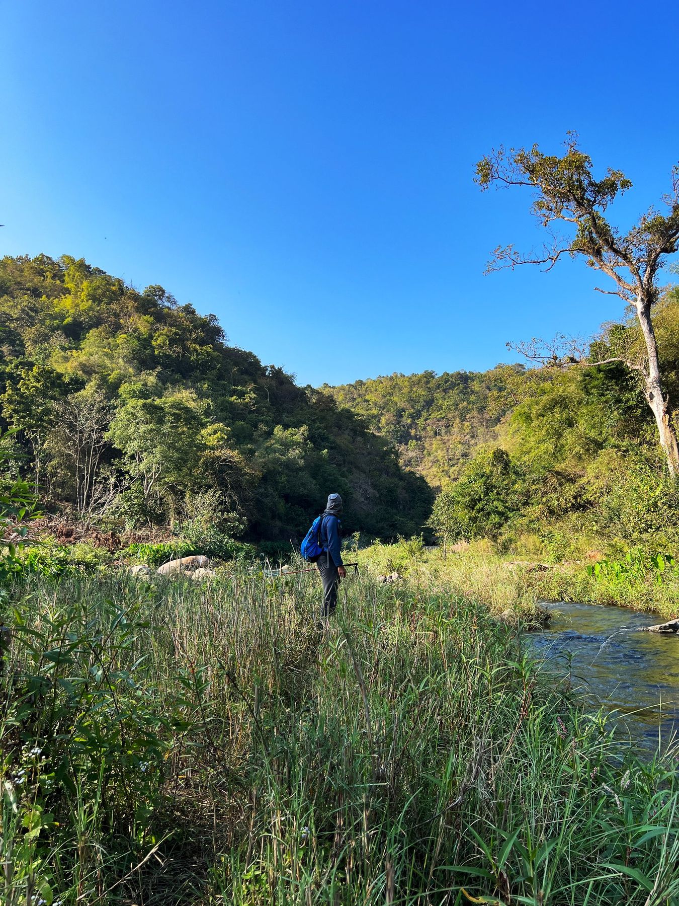 Sharada River Trail — photo 9