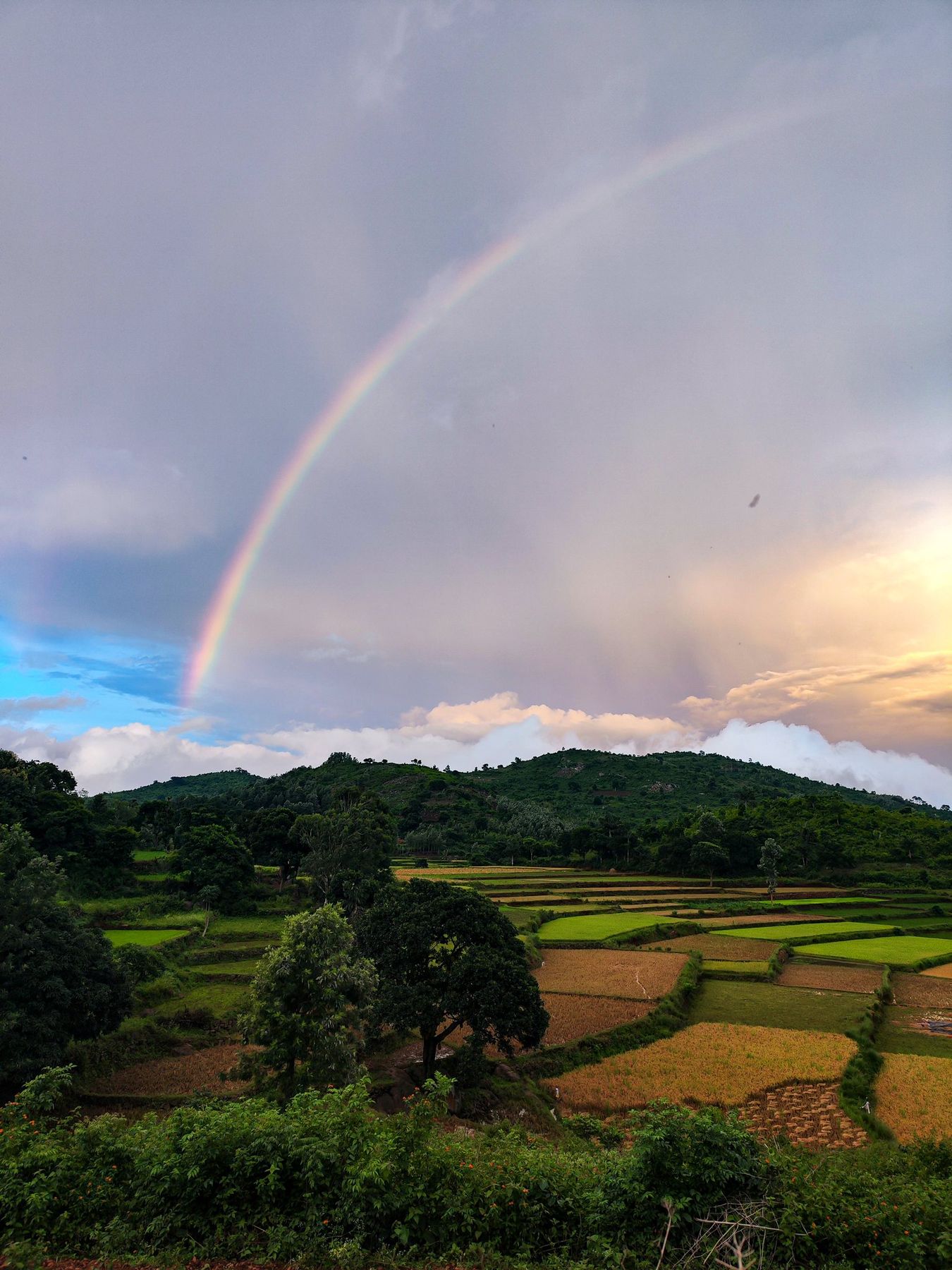 A rainbow over the paddies